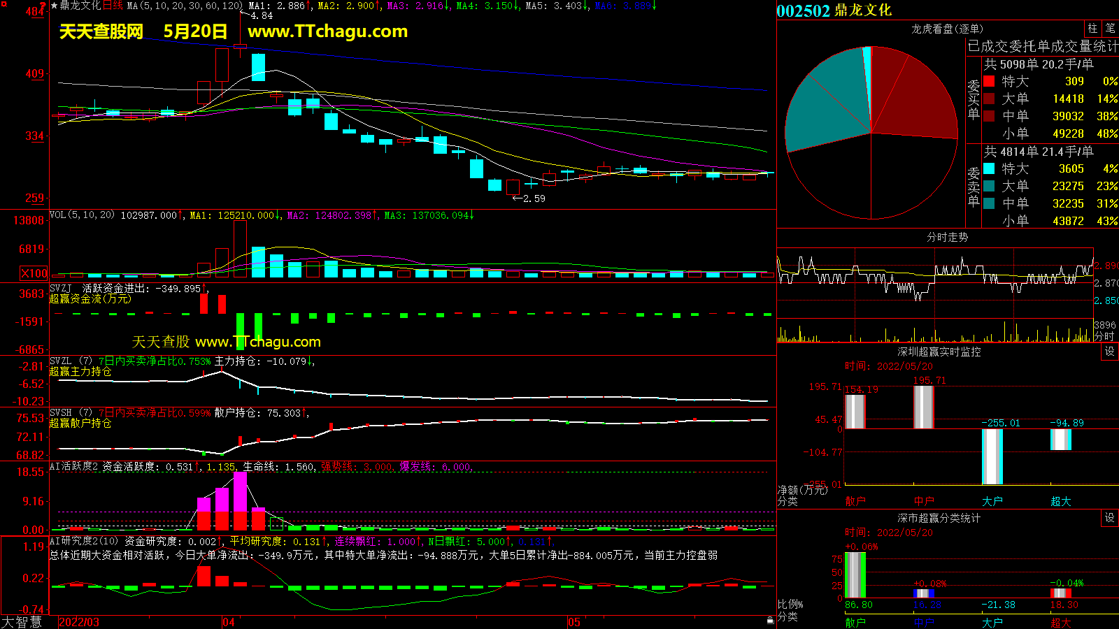 鼎龙文化(002502)超赢数据截图