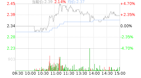 *ST瑞德(600666)股票行情K线